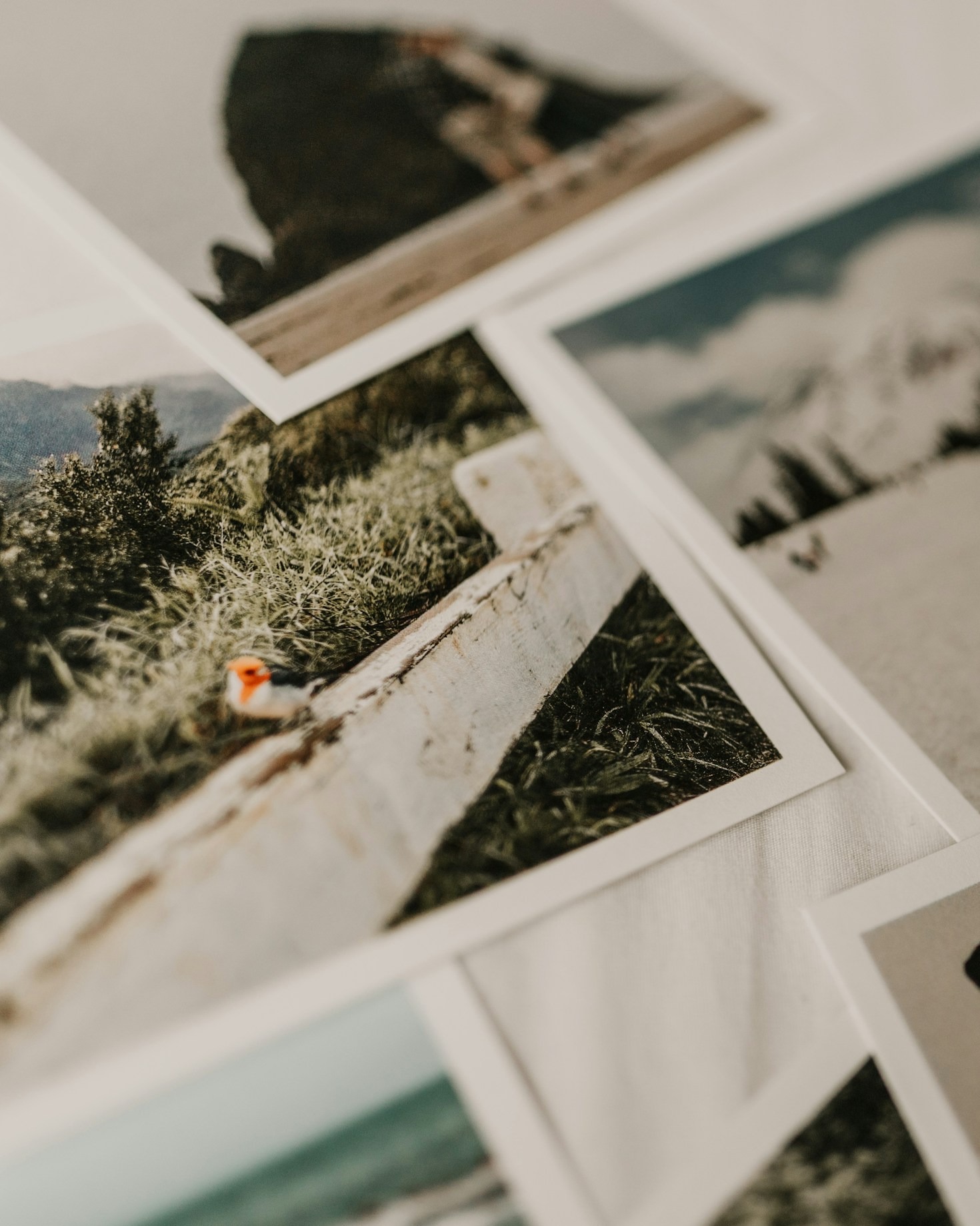 Turning Experiences into Meaningful Narratives